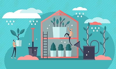 Plant Nursery
