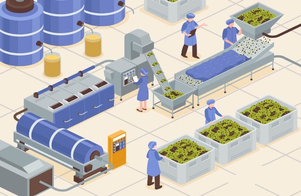 Food Safety Sanitation for Food Manufacturers