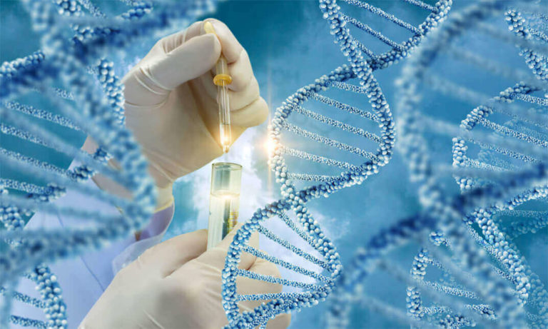 Genetics