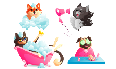 Dog Grooming Level 3