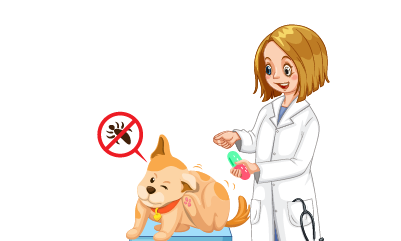 Dog Parasite Care