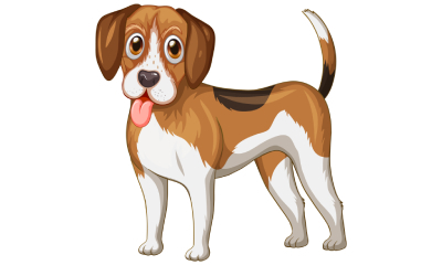 Canine First Aid