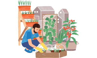Biodynamic Farming and Gardening Basics