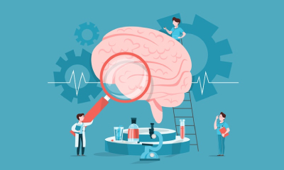 Brain – Injuries Concussion