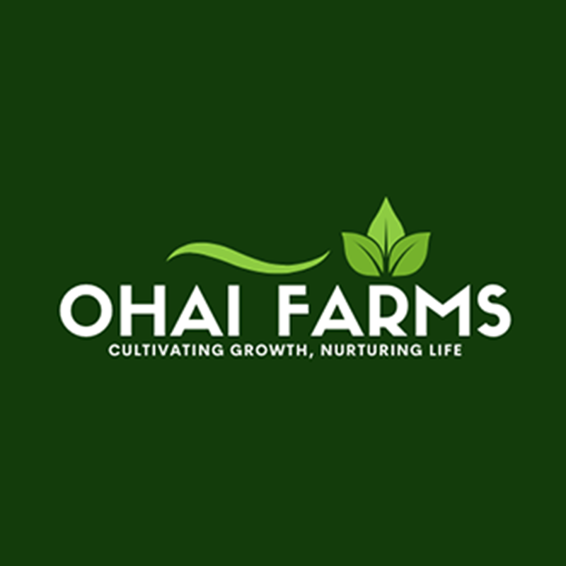 Unlocking the Potential of Mechanized Farming in Nigeria